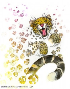 Amur+Leopard