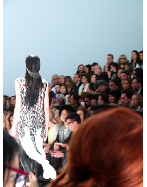 animal print in action on runway