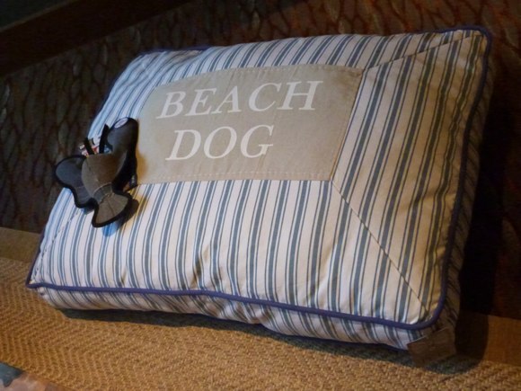 beach dog bed