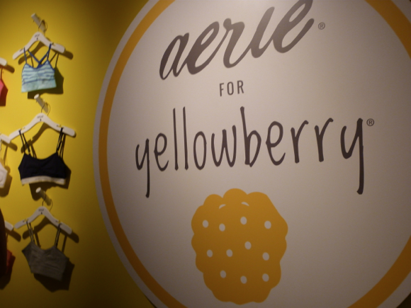 aerie for yellowbery