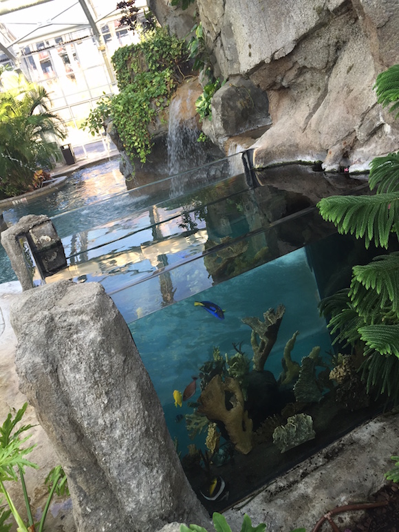 crystal springs resort water slide